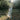 What is an Elopement Weekend at The Orchard on the Sunshine Coast Like?